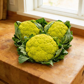 Vitaverde, Cauliflower Seeds